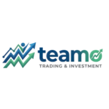 https://teamo-te.com